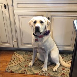 Meet your Posher, Kristin